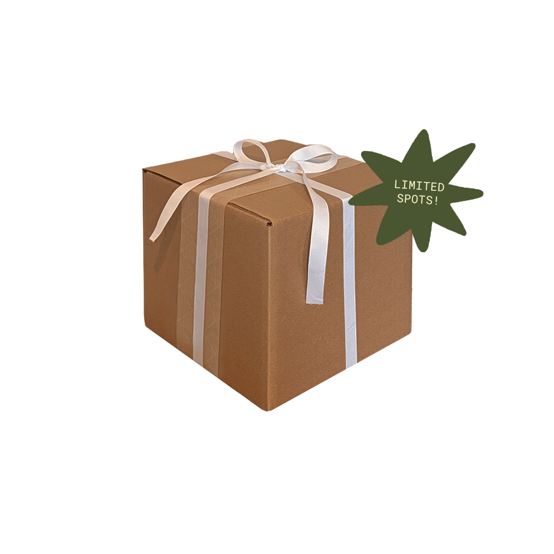 Holiday Priority Slot