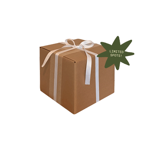 Holiday Priority Slot